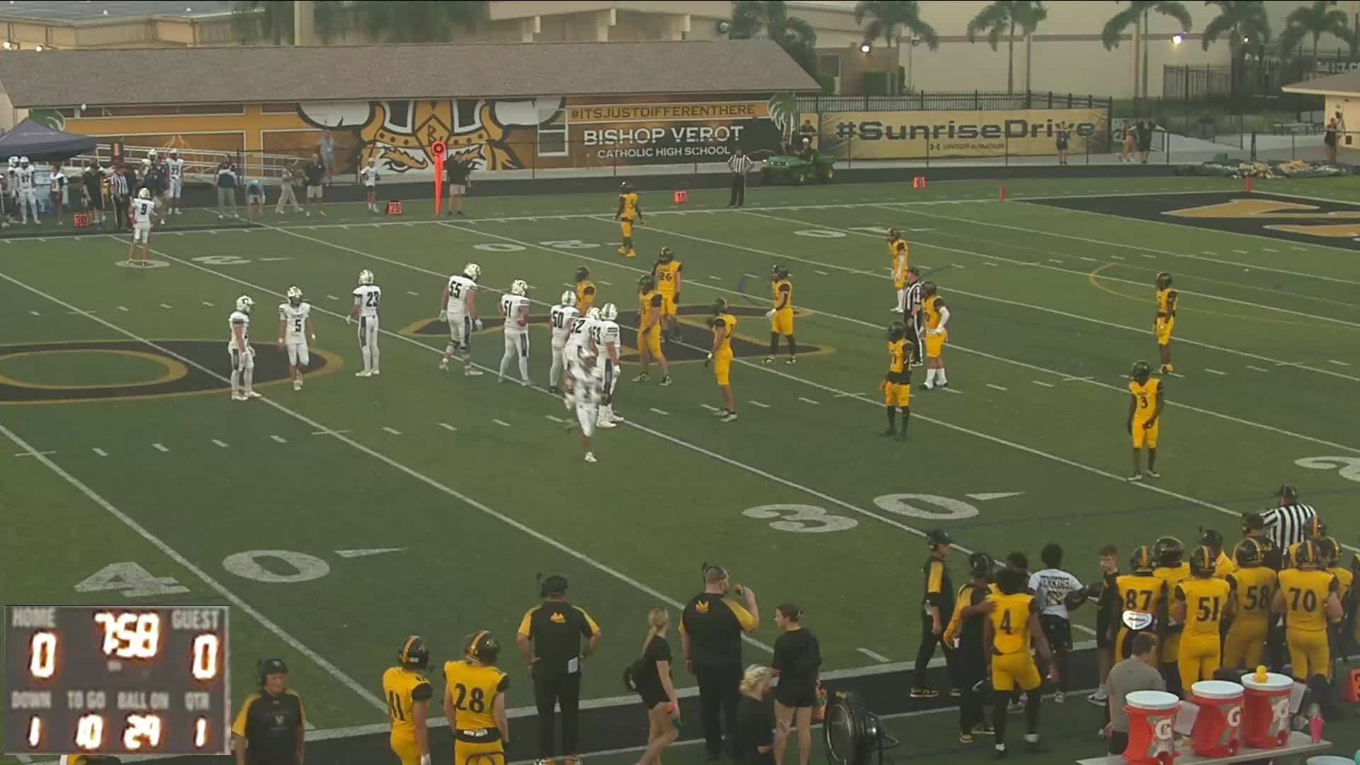 Travis Lau TE #80 Sophomore Season Highlights - 2024