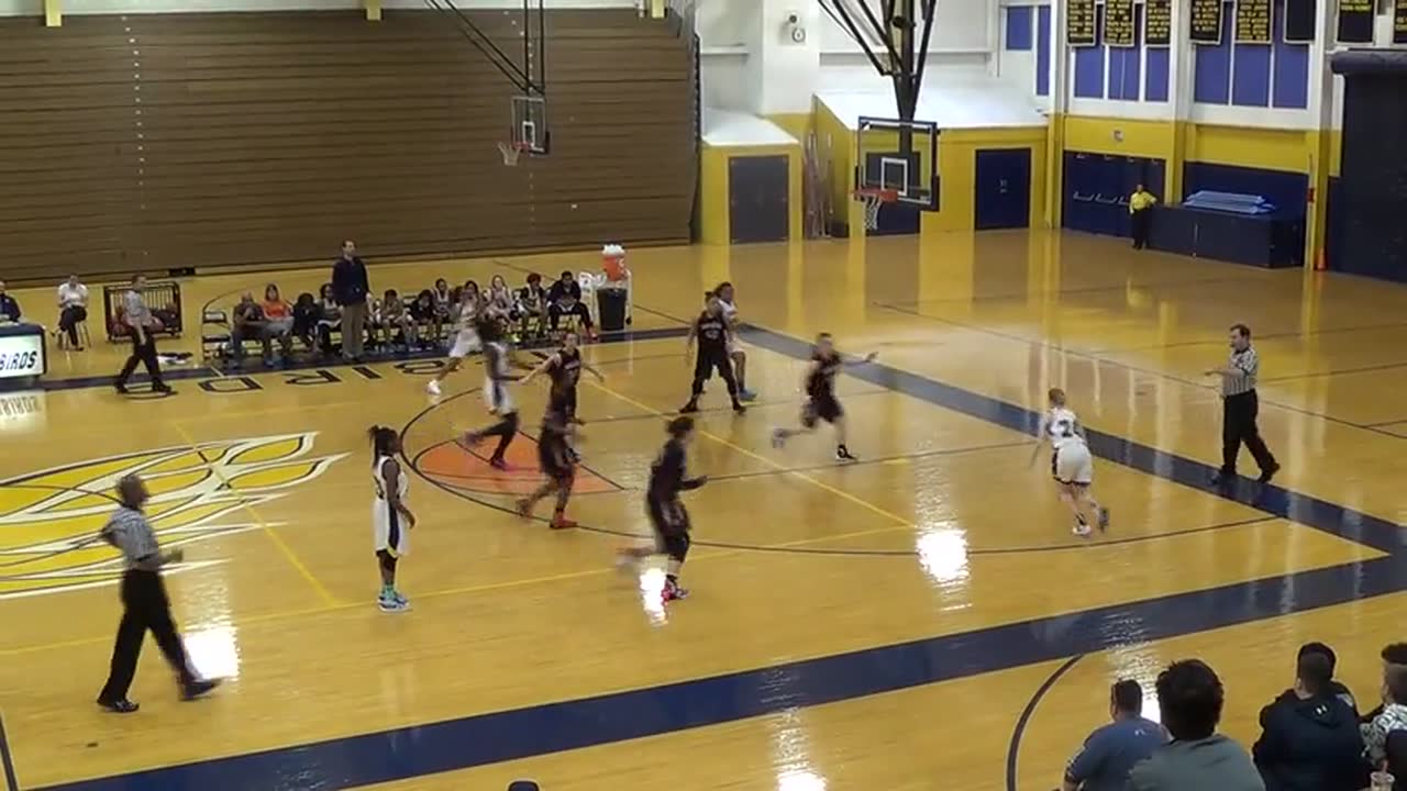 Thornwood High School Haley Tuntland highlights Hudl